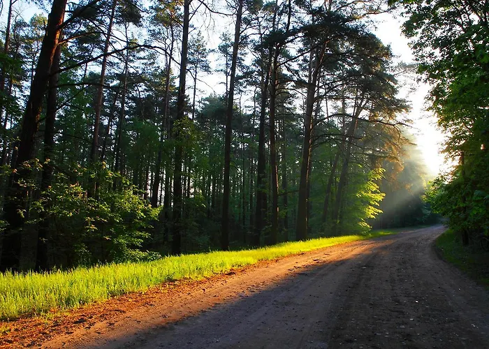 Osrodek Wrzos Resort *